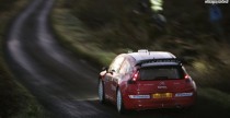 Sebastien Loeb