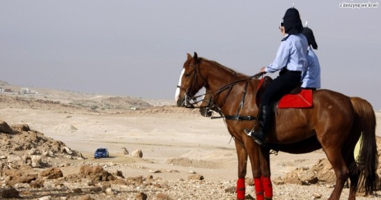 Rajd Jordanii 2008 zdjęcia galeria