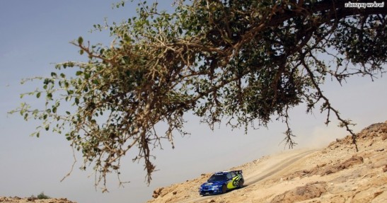 Rajd Jordanii 2008 - zdjęcia II