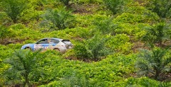 APRC, Rajd Malezji: Atkinson daje Protonowi zwycistwo