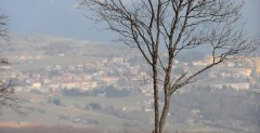 Rajd Monte Carlo