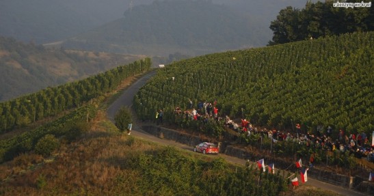 Rajd Niemiec 2008
