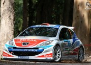 Rajd Portugalii: Didier Aurior i Francois Duval w IRC