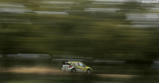 Rajd Sardynii 2008 - zdjęcia