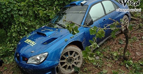 Testy Subaru