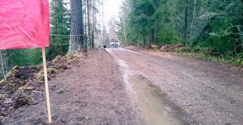 Szwecja bardziej jak Finlandia?