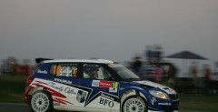Freddy Loix