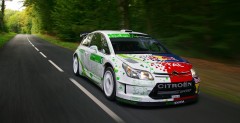 Grzyb w Citroenie C4 WRC!