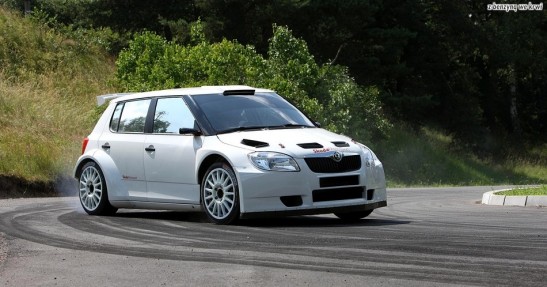 skoda fabia s2000