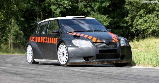 skoda fabia s2000