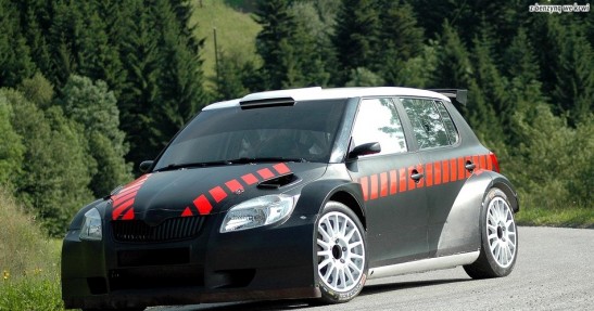skoda fabia s2000