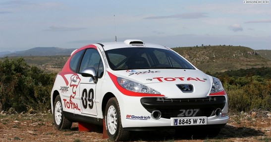 Peugeot 207 RC Rallye