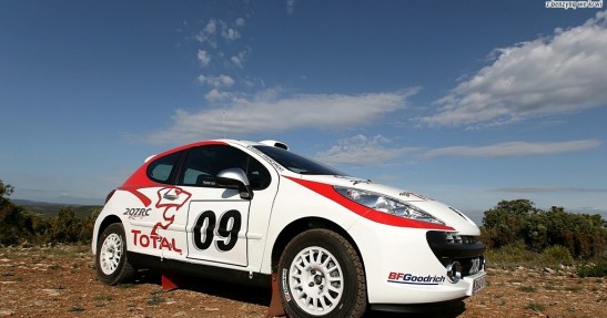 Peugeot 207 RC Rallye