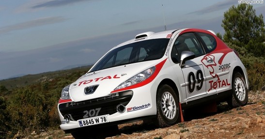 Peugeot 207 RC Rallye