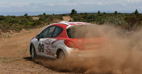 Peugeot 207 RC Rallye