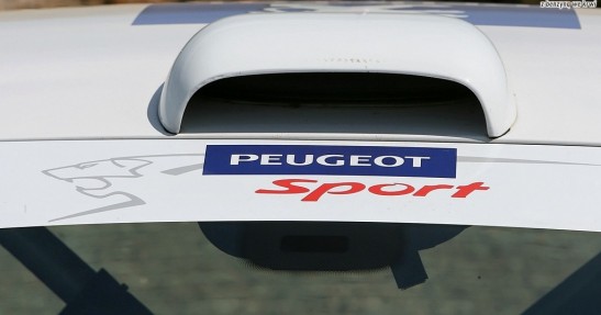Peugeot 207 RC Rallye