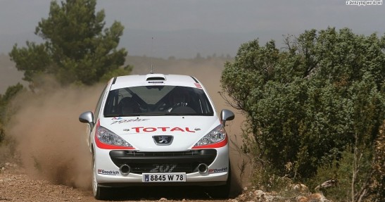Peugeot 207 RC Rallye