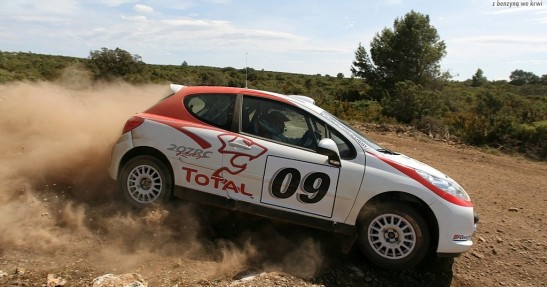 Peugeot 207 RC Rallye