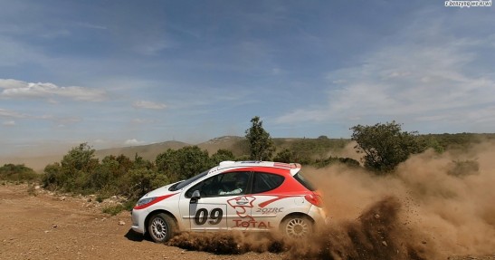 Peugeot 207 RC Rallye