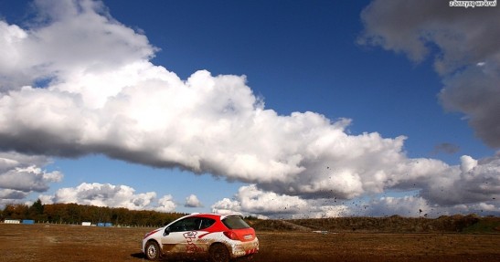 Peugeot 207 RC Rallye