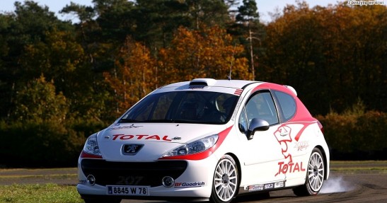 Peugeot 207 RC Rallye