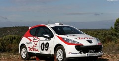 Peugeot 207 RC Rallye