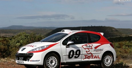 207 RC Rallye