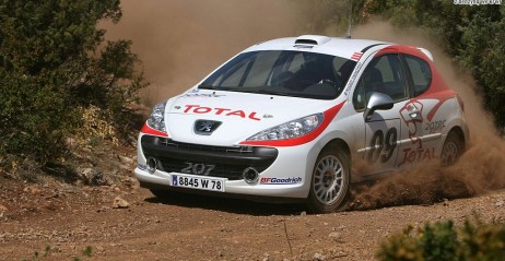 Istnieje szansa na powstanie pucharu 207 RC Rallye