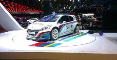 Peugeot 208 R5