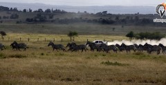 KCB Safari Rally 2007