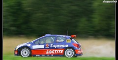 Kuchar Peugeot 207 S200