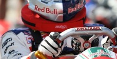 Sebastien Loeb