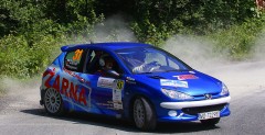 Daniel arna