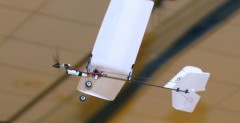 Ember 2 - miniaturowy samolocik RC z napdem elektrycznym