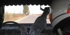 Wideo: Makabryczny skok Daci. Protoplaci Pastrany?