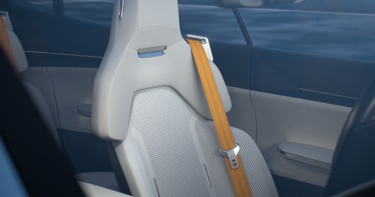 Polestar Precept
