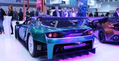 Arrinera Hussarya