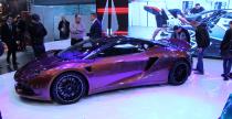 Arrinera Hussarya