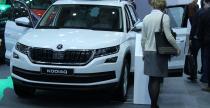 Galeria Pozna Motor Show 2017