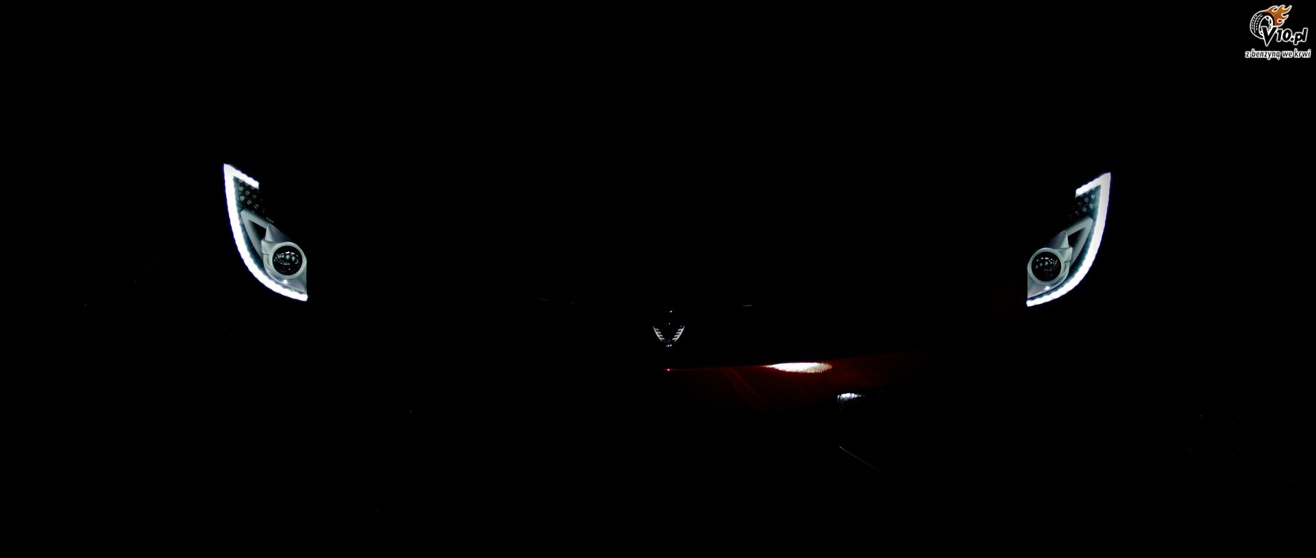Vega EVX