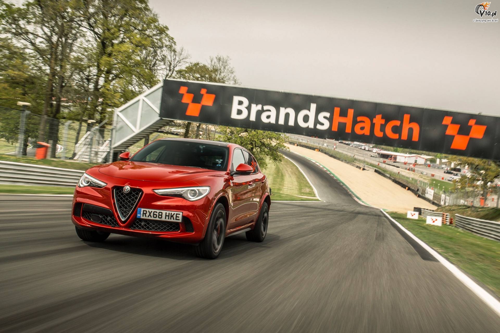 Alfa Romeo Stelvio Quadrifoglio