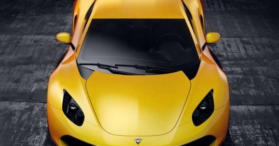 Arrinera Hussarya