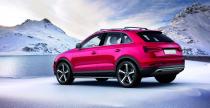 Audi Q3 Vail Concept