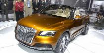 Audi Cross Cabriolet Quattro Concept