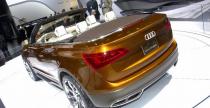 Audi Cross Cabriolet Quattro Concept