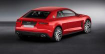 Audi Sport Quattro Concept