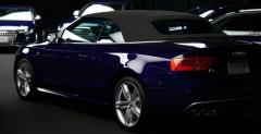 Audi Samurai Blue