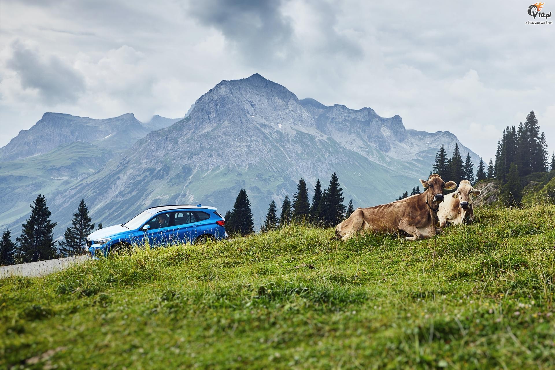 BMW X2 xDrive 25e