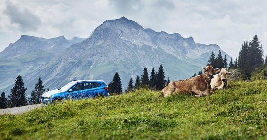 BMW X2 xDrive 25e