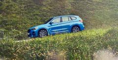 BMW X2 xDrive 25e